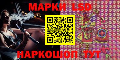 гидропоника Будённовск